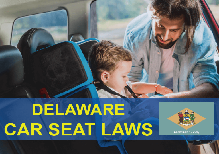 Delaware Car Seat Law