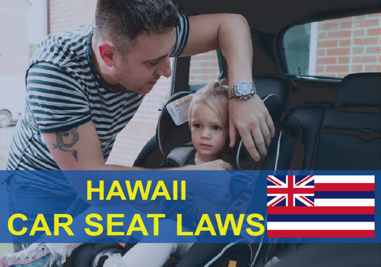 Hawaii Car Seat Law