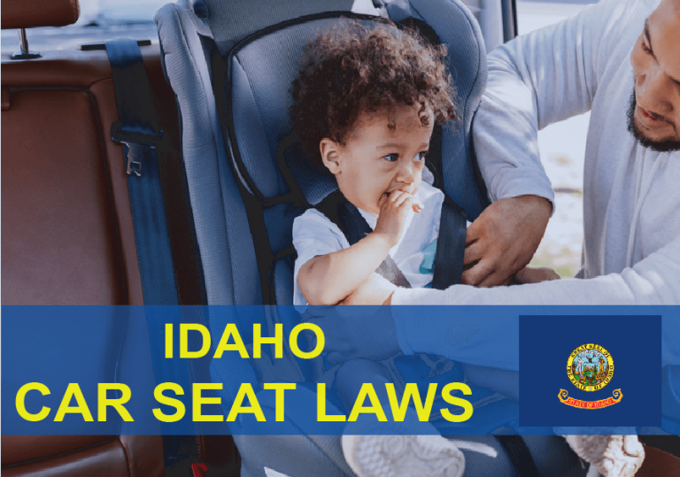 Idaho Car Seat Laws (2022): Everything You Need To Know