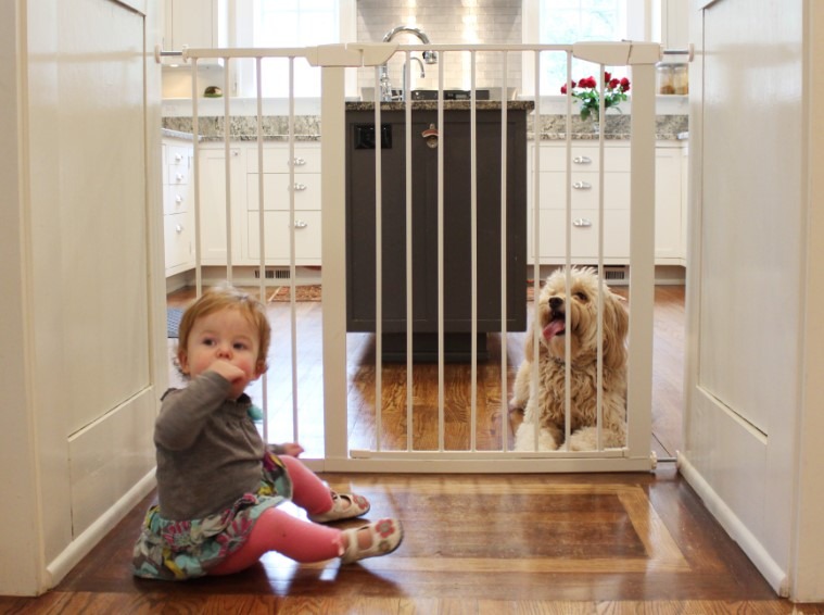 a toddler girl and puppy sitting on floor beside a baby gate - baby gate vs pet gate